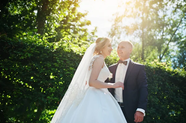 Casal de casamento na moda abraçando no parque verde no casamento ensolarado — Fotografia de Stock