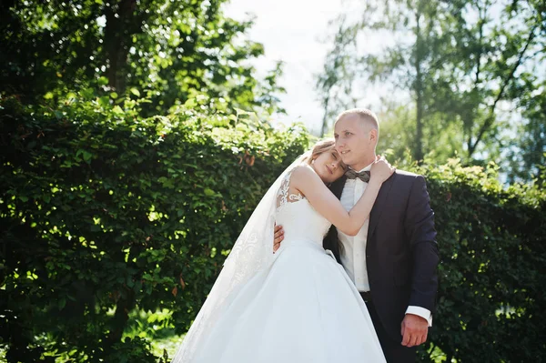 Abbracci di coppia nuziali alla moda a parco verde su matrimonio soleggiato — Foto Stock