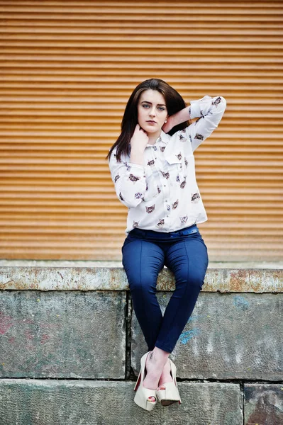 Young stylish brunette girl on shirt, pants and high heels shoes — Stock Photo, Image