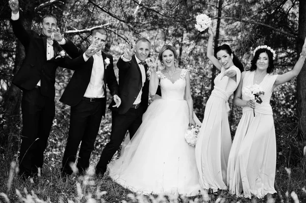 Modieuze bruidspaar met bruidsmeisjes op roze jurken en — Stockfoto