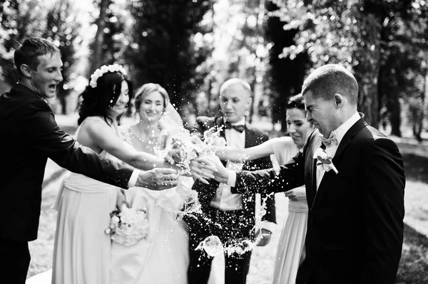 Boda pareja animando copas de champán con damas de honor y b —  Fotos de Stock