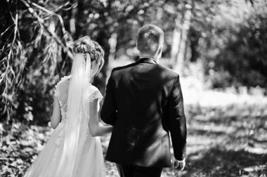 Şık ve çok güzel düğün çifti Parkı'nda s açık yürüyüş