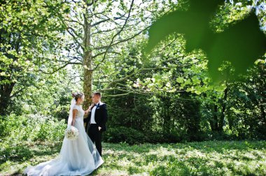 Şık ve çok güzel düğün çifti Parkı'nda s açık yürüyüş