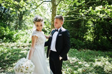 Şık ve çok güzel düğün çifti Parkı'nda s açık yürüyüş