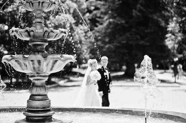 Elegante e splendida coppia di nozze a piedi all'aperto vicino fountai — Foto Stock