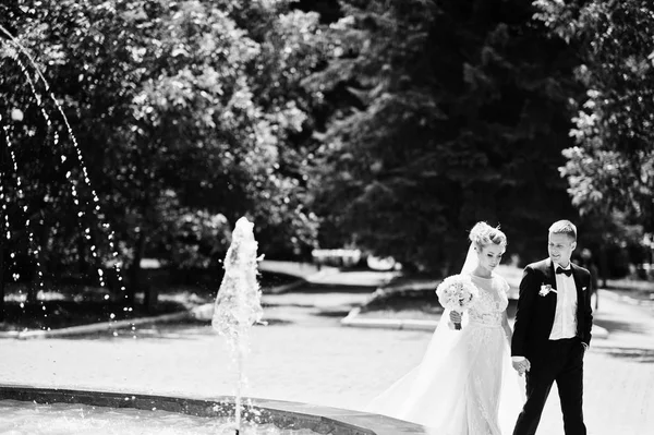 Elegante y hermosa pareja de boda caminando al aire libre cerca de fountai — Foto de Stock