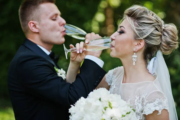 Stylish and gorgeous wedding couple with glasses of champagne. — Stock Photo, Image