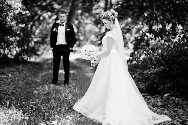 Élégant et magnifique couple de mariage marchant en plein air au parc sur s — Photo