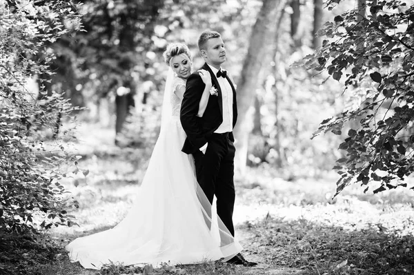 Elegante e splendida coppia di nozze a piedi all'aperto al parco su s — Foto Stock