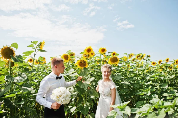 Свадебная пара на поле подсолнухов влюблена . — стоковое фото