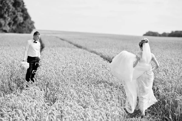 Весільна пара на полі пшениці в любові . — стокове фото