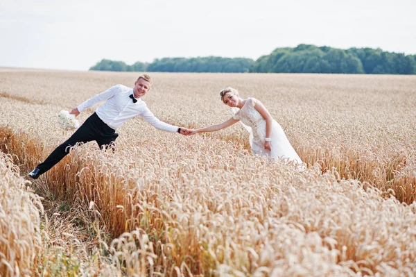 愛の小麦のフィールドでの結婚式のカップル. — ストック写真