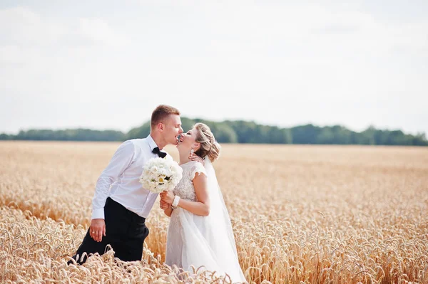 Bruidspaar op gebied van tarwe in liefde. — Stockfoto