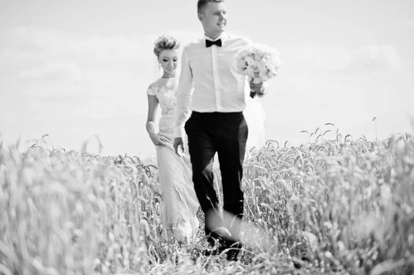 Couple de mariage au champ de blé en amour . — Photo