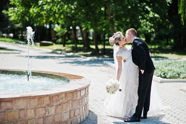 Şık ve çok güzel düğün çifti fountai açık yürüyüş
