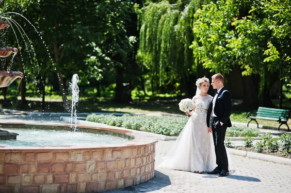 Élégant et magnifique couple de mariage marchant en plein air près de fountai — Photo