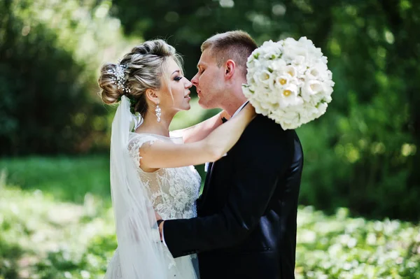 Elegante e splendida baciare coppia di nozze a piedi all'aperto a p — Foto Stock