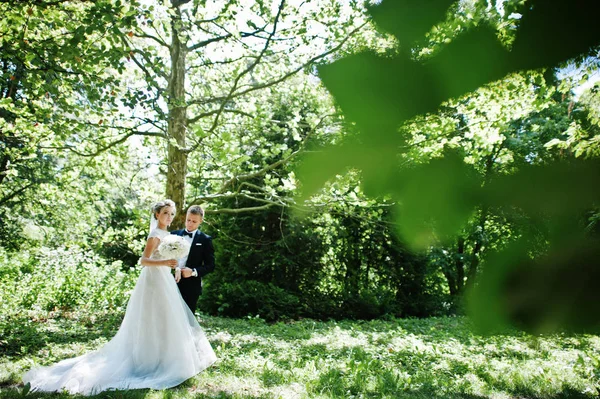 Стильная и шикарная свадебная пара, гуляющая под открытым небом в парке на s — стоковое фото