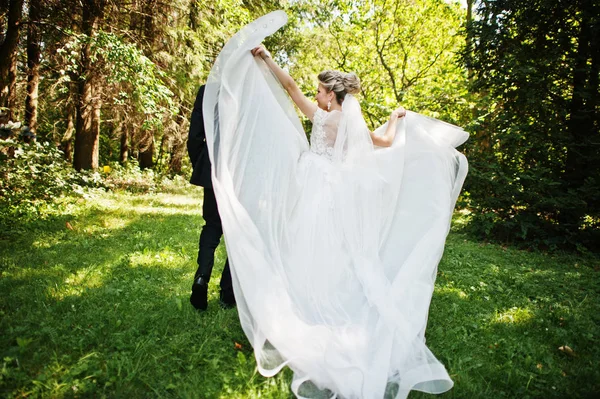 Elegante e splendida coppia di nozze a piedi all'aperto al parco su s — Foto Stock