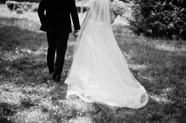 Élégant et magnifique couple de mariage marchant en plein air au parc sur s — Photo