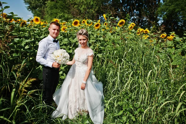 Свадебная пара на поле подсолнухов влюблена . — стоковое фото