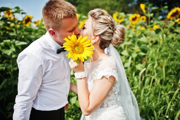 Couple de mariage au champ de tournesols amoureux . — Photo