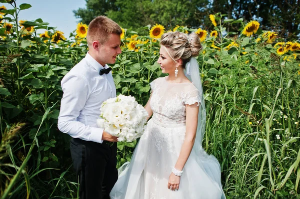 Pareja de bodas en el campo de girasoles enamorada . —  Fotos de Stock