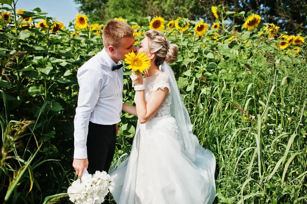 Para ślub w pole słoneczników w miłości. — Zdjęcie stockowe