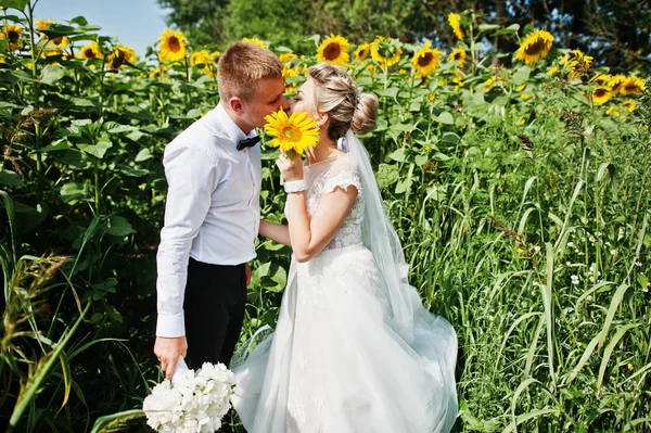 Couple de mariage au champ de tournesols amoureux . — Photo