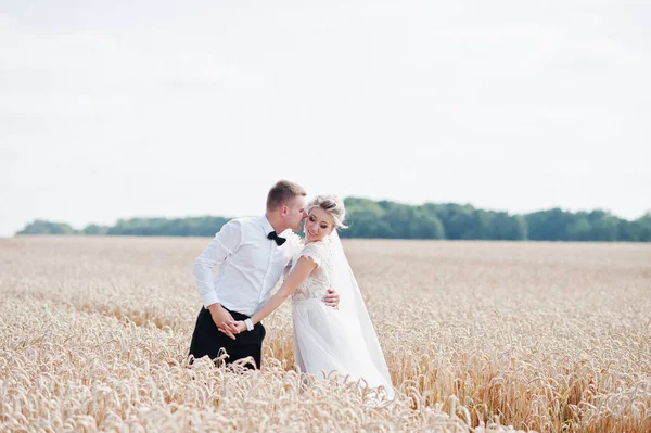 Bruidspaar op gebied van tarwe in liefde. — Stockfoto