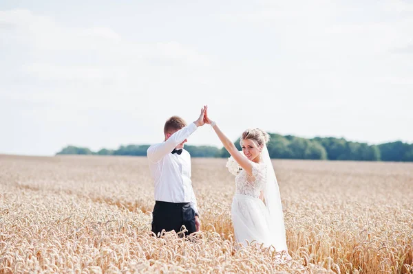 Pareja de boda en el campo de trigo en el amor . —  Fotos de Stock