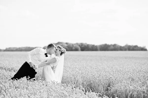 新婚夫妇在外地的小麦在爱中. — 图库照片