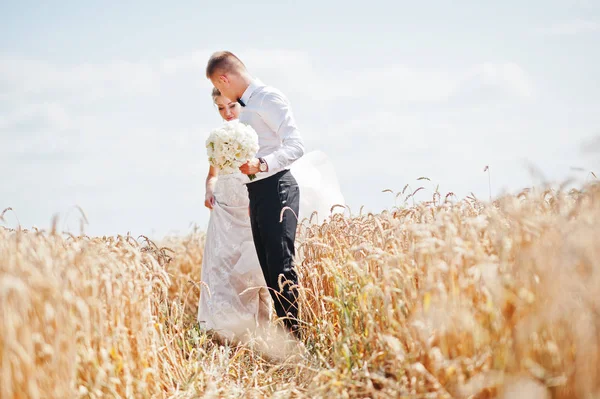 愛の小麦のフィールドでの結婚式のカップル. — ストック写真