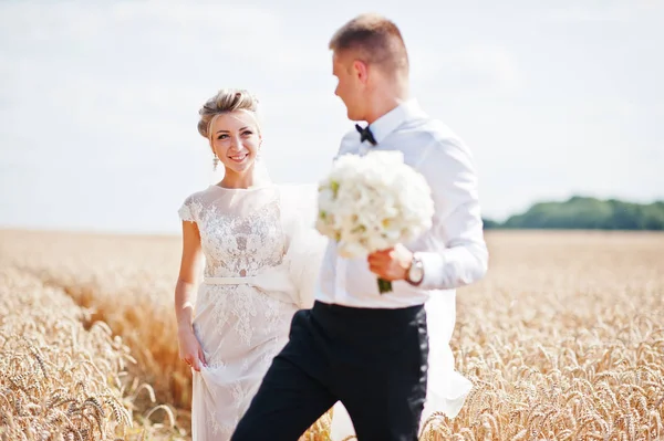 Wedding couple at field of wheat in love. — Stock Photo, Image
