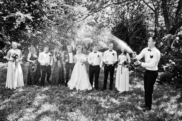 Eleganza coppia di nozze con damigelle e migliori uomini bere — Foto Stock
