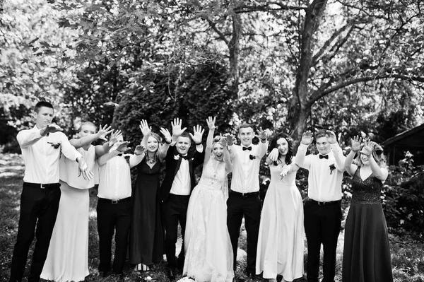 Casal de casamento elegante com damas de honra e melhor homem ter fu — Fotografia de Stock