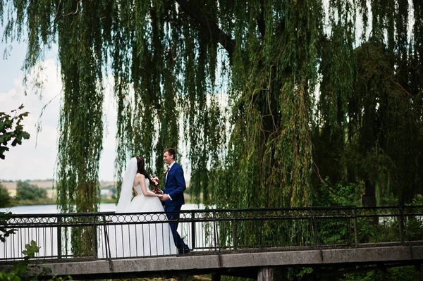 婚礼热恋中的情侣在公园的小桥上呆在阳光灿烂的日子 — 图库照片