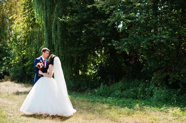 Casamento casal apaixonado abraçando no parque no dia ensolarado . — Fotografia de Stock