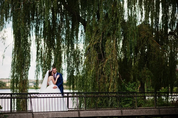 婚礼热恋中的情侣在公园的小桥上呆在阳光灿烂的日子 — 图库照片