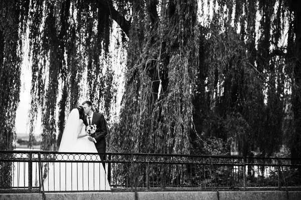 Весільна пара закоханих залишається на невеликому мосту в парку в сонячний день — стокове фото