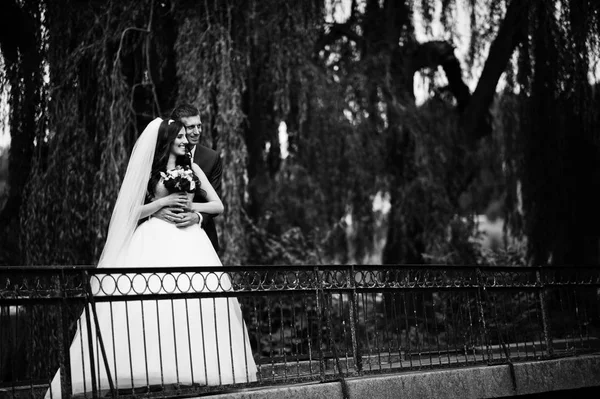 Güneşli gün park küçük köprüde Düğün çifti aşık et — Stok fotoğraf