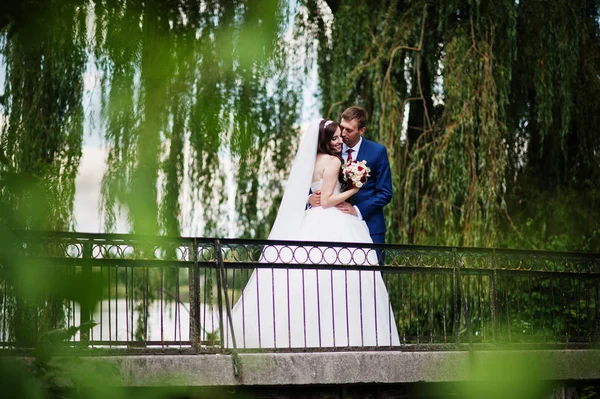 Casamento casal apaixonado ficar em pequena ponte no parque no dia ensolarado — Fotografia de Stock