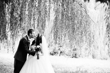 Sevgi Parkı'nda güneşli gün sarılma da düğün Çift.