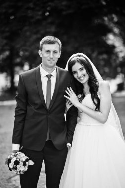 Sevgi Parkı'nda güneşli gün sarılma da düğün Çift.