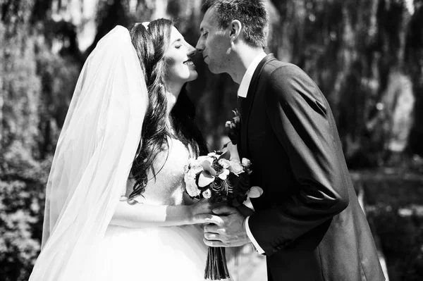 Couple de mariage amoureux étreignant au parc à la journée ensoleillée . — Photo