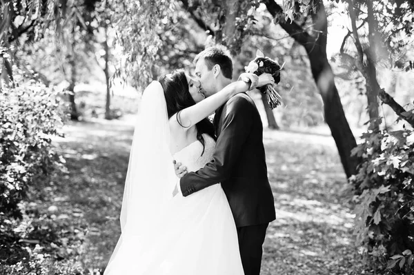 Bröllop par i kärlek kramar på park på solig dag. — Stockfoto