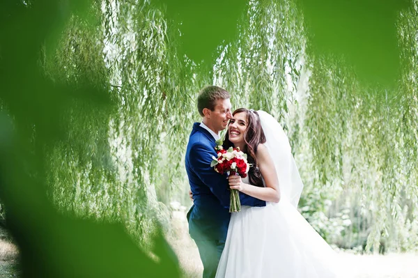 Casamento casal apaixonado abraçando no parque no dia ensolarado . — Fotografia de Stock