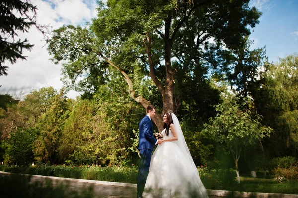 Pareja de boda enamorada abrazándose en el parque en un día soleado . —  Fotos de Stock