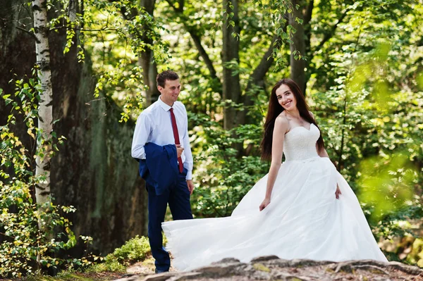 Hermosa pareja de boda en paisajes increíbles con roca Dovbush, C —  Fotos de Stock