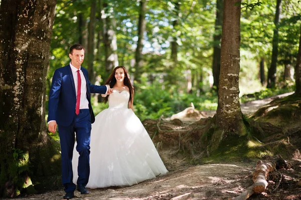 Hermosa pareja de boda en paisajes increíbles caminando sobre madera . — Foto de Stock